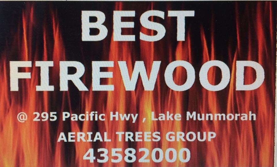 Aerial Trees Group Pty Ltd | 295 Pacific Hwy, Lake Munmorah NSW 2259, Australia | Phone: (02) 4358 2000