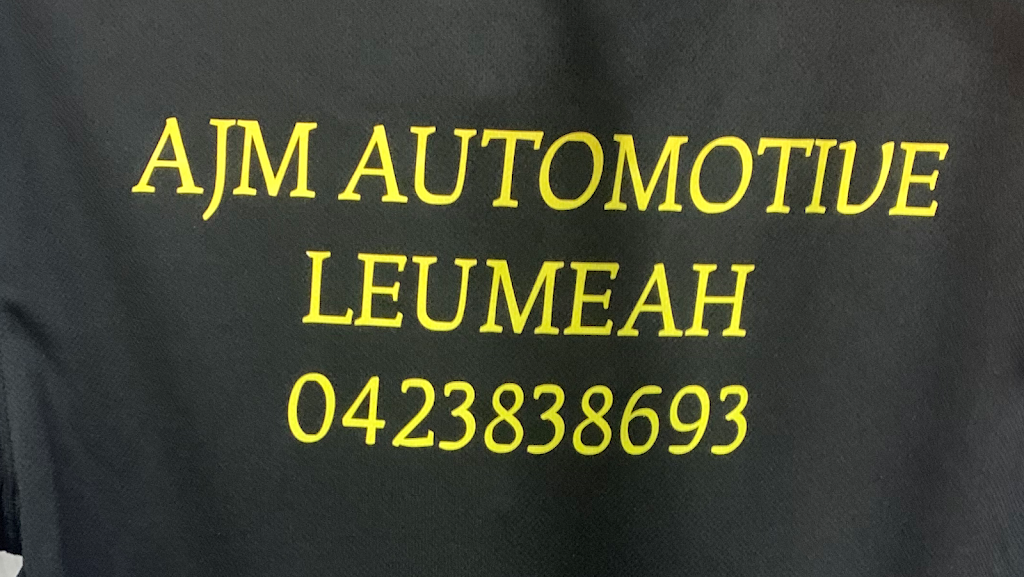 AJM Automotive | 32 Watson Rd, Mount Annan NSW 2567, Australia | Phone: 0423 838 693