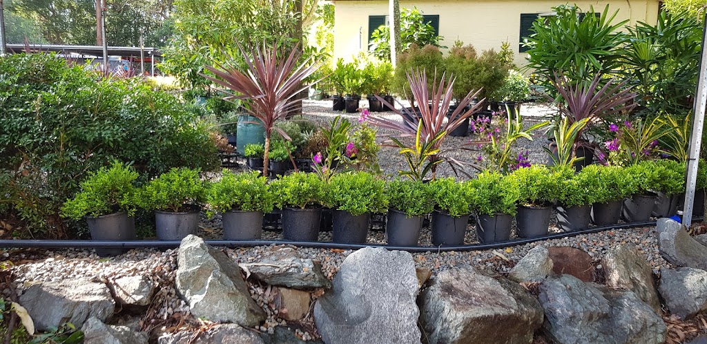 Dalys Native Plants | 57 Weedon St W, Mansfield QLD 4122, Australia | Phone: (07) 3349 0807