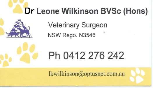 Dr Leone Wilkinson Veterinary Services | veterinary care | 1022 Naughtons Gap Rd, Bentley NSW 2480, Australia | 0412276242 OR +61 412 276 242