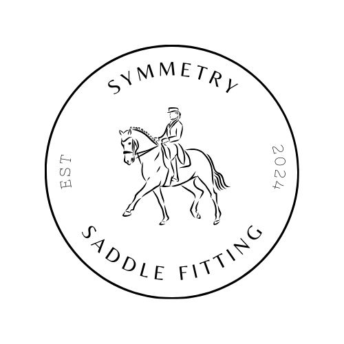 Symmetry Saddle Fitting | 925 Frankston - Flinders Rd, Somerville VIC 3912, Australia | Phone: 0487 187 240