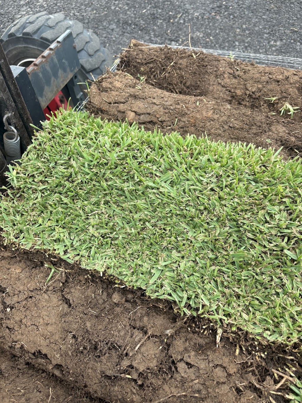 Reliable Turf Solutions | 113 Kurmond Rd, Wilberforce NSW 2756, Australia | Phone: 0419 890 061