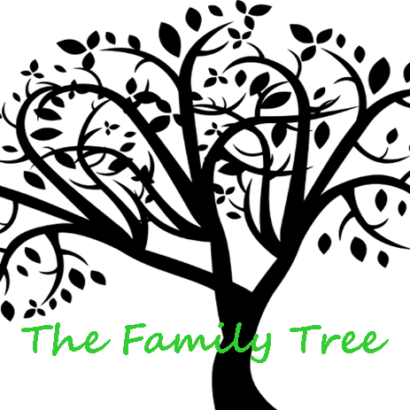 The Family Tree Cafe and Takeaway | cafe | 1/94 Woodford St, Minmi NSW 2287, Australia | 0249534231 OR +61 2 4953 4231