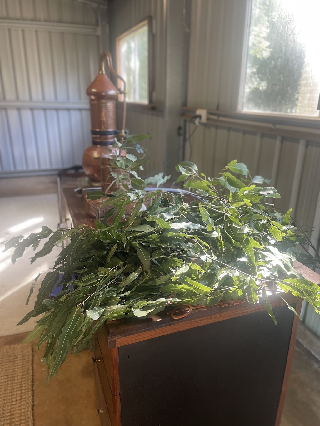Scent | 41 Ficus La, Dalwood NSW 2477, Australia | Phone: 0414 737 943