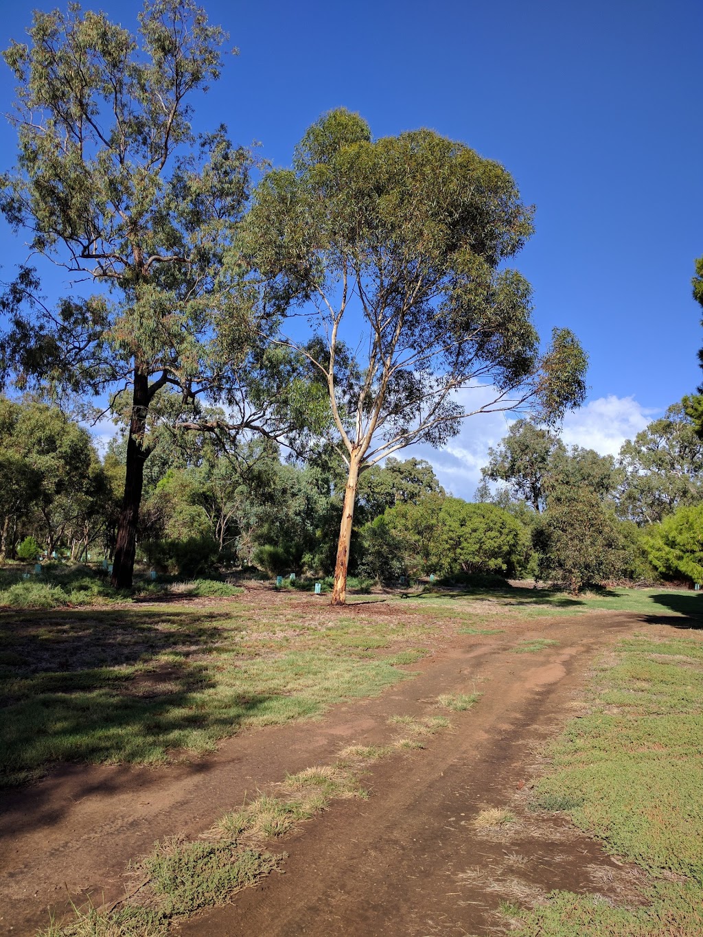 G S Kingston Park / Wirrarninthi (Park 23) | park | West Terrace, Adelaide SA 5000, Australia | 0882037203 OR +61 8 8203 7203