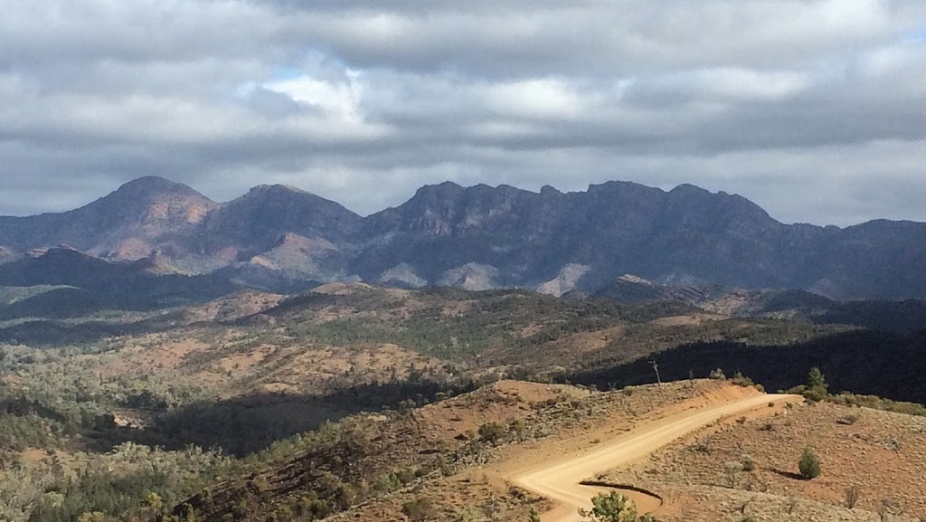 Wallaby Tracks Adventure Tours | 6 Railway Terrace, Quorn SA 5433, Australia | Phone: (08) 8648 6655