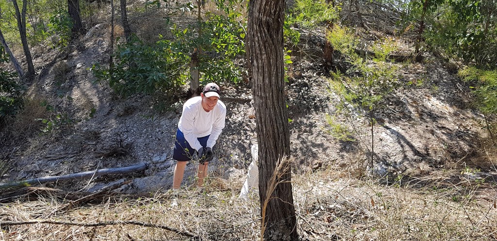 Lavelle Lagoon Community Bushcare Group | Argyle Rd, Greenbank QLD 4124, Australia | Phone: 0466 542 275