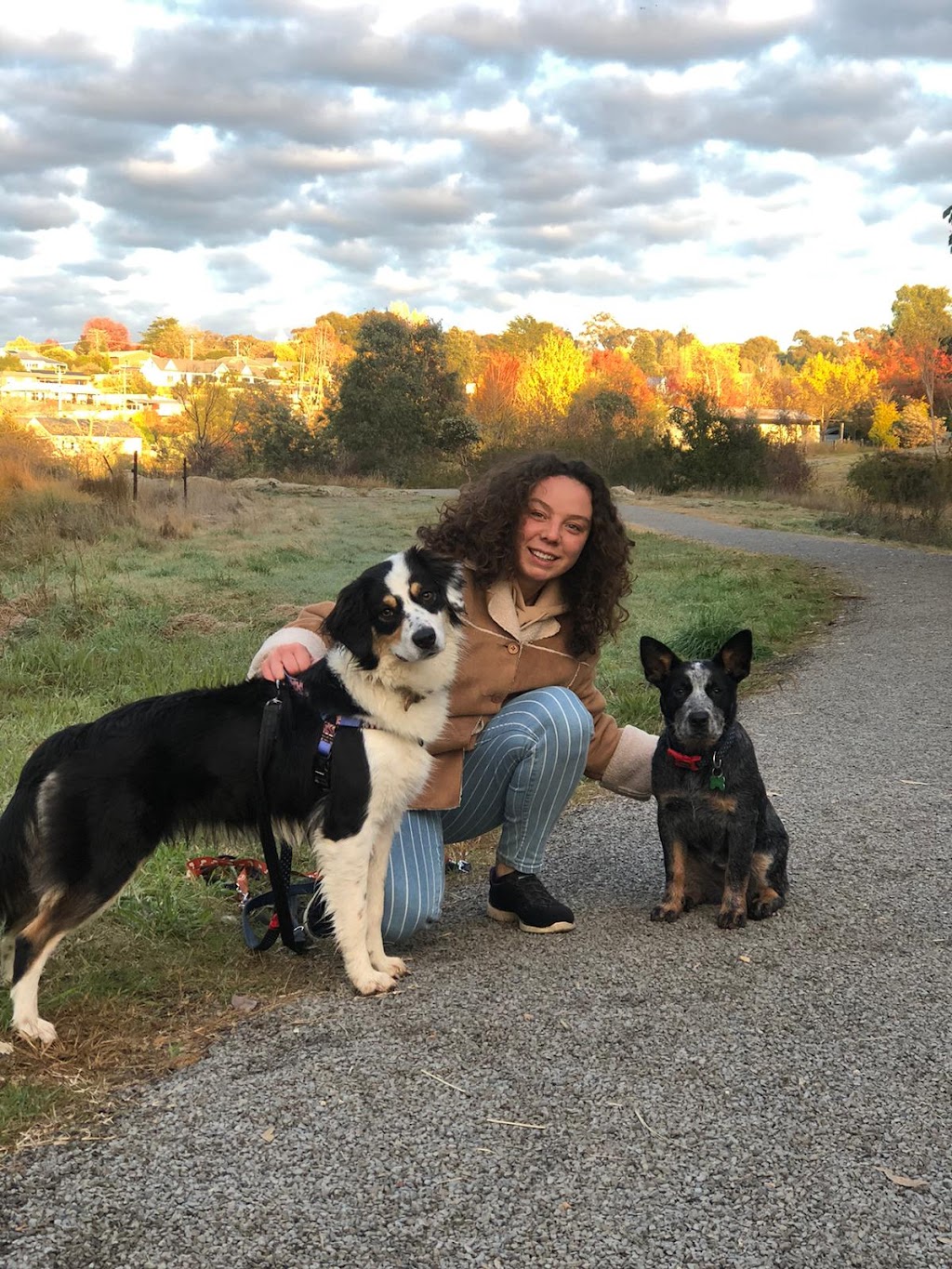 Sit, Stay, Succeed ! Dog training | Surrounding, Beechworth VIC 3747, Australia | Phone: 0468 840 675