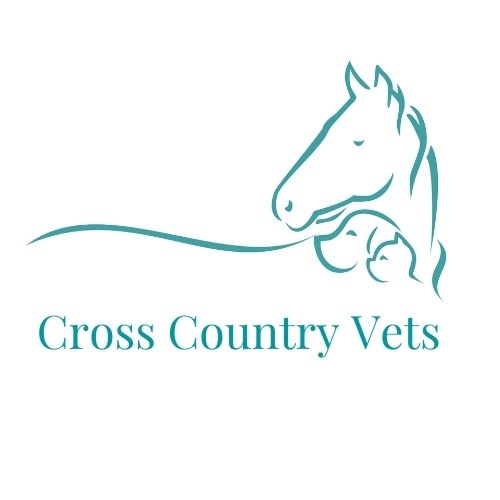 Cross Country Vets | veterinary care | Warren Rd, Gulargambone NSW 2828, Australia | 0404656949 OR +61 404 656 949