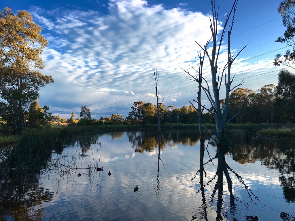 Plough and Harrow | park | Elizabeth Dr, Abbotsbury NSW 2176, Australia | 0298957500 OR +61 2 9895 7500