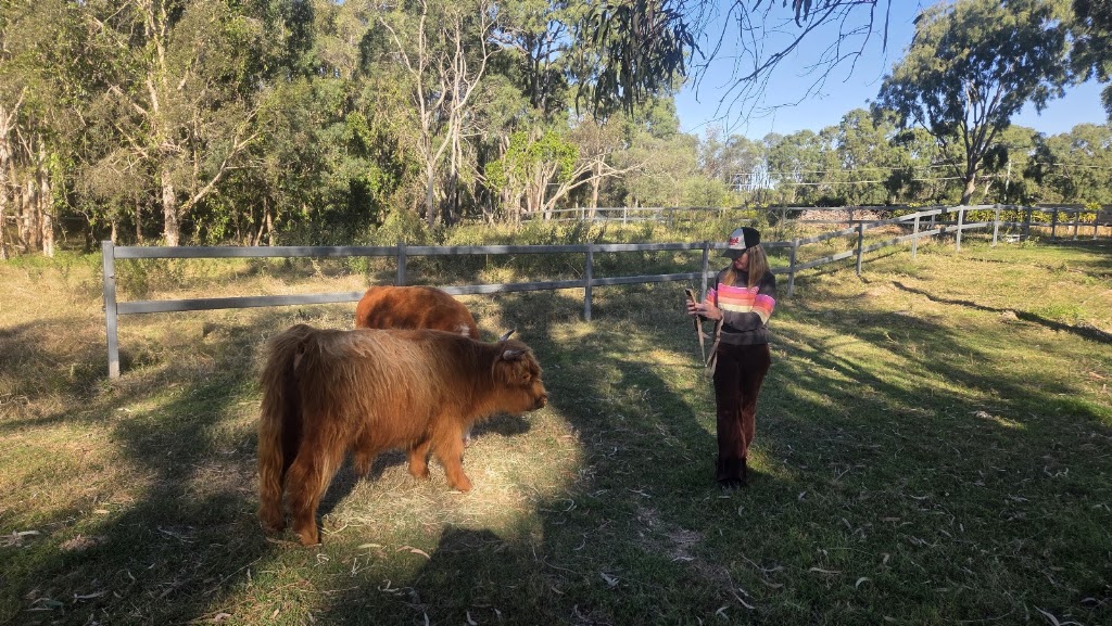 Our Farmily | 30 Bellay Rd, Beachmere QLD 4510, Australia | Phone: 0461 310 510