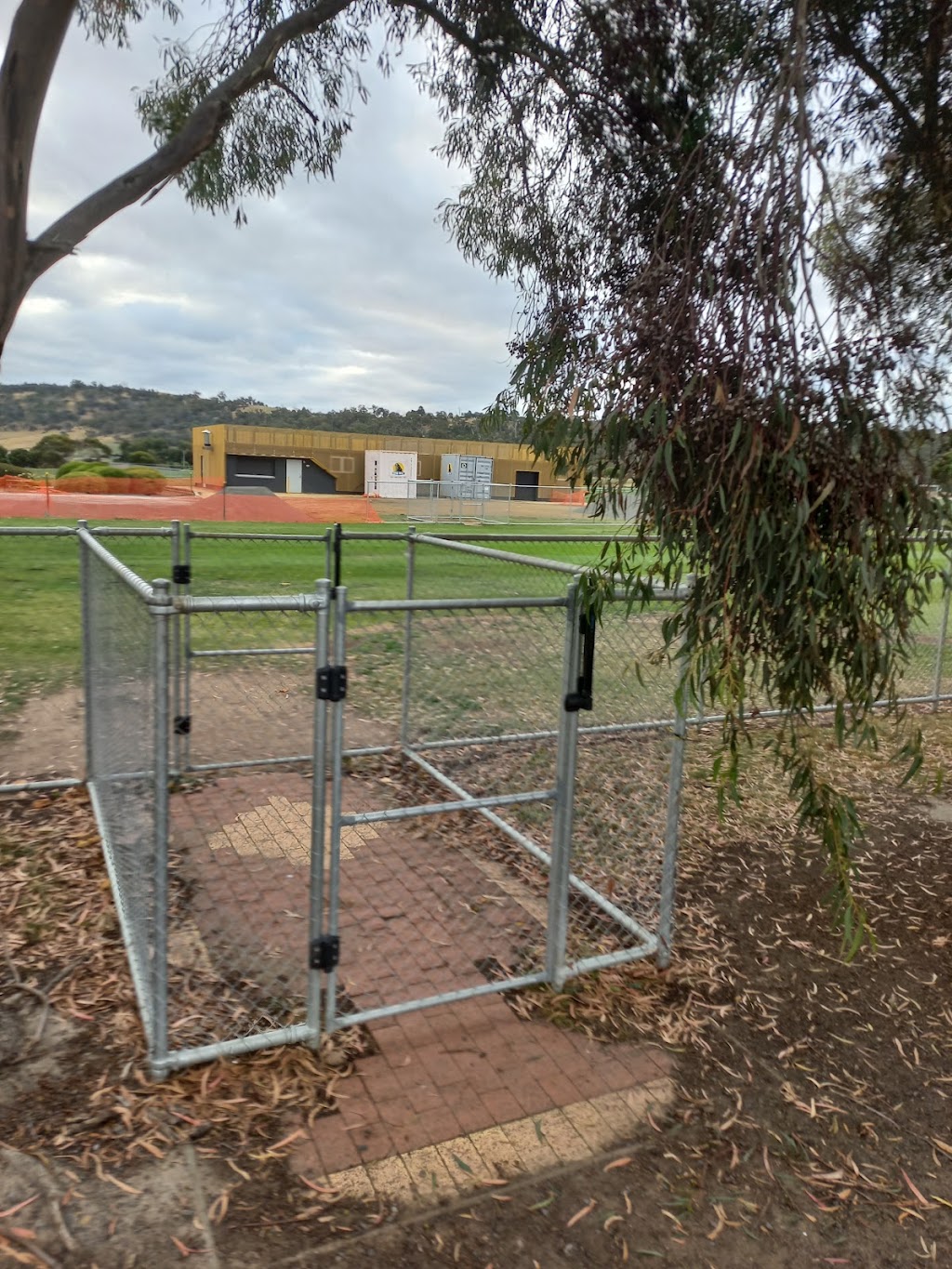 Tassie Flying Paws Dog Club | Glen Lea Rd, Pontville TAS 7030, Australia | Phone: 0407 873 485
