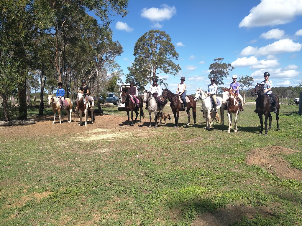 Wide Bay Equestrian Park | park | 640 Noble Rd, Susan River QLD 4655, Australia | 0741224618 OR +61 7 4122 4618