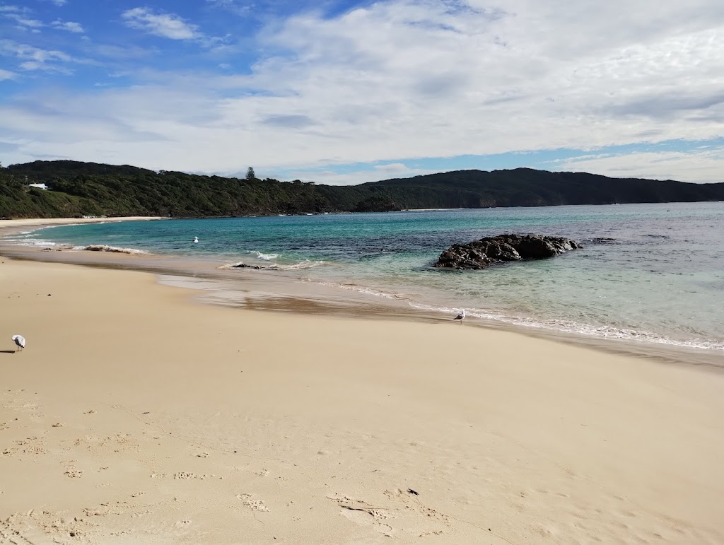 Tiona Holiday Park Beachside | MGXC+2H, Tiona NSW 2428, Australia | Phone: (02) 6554 0290
