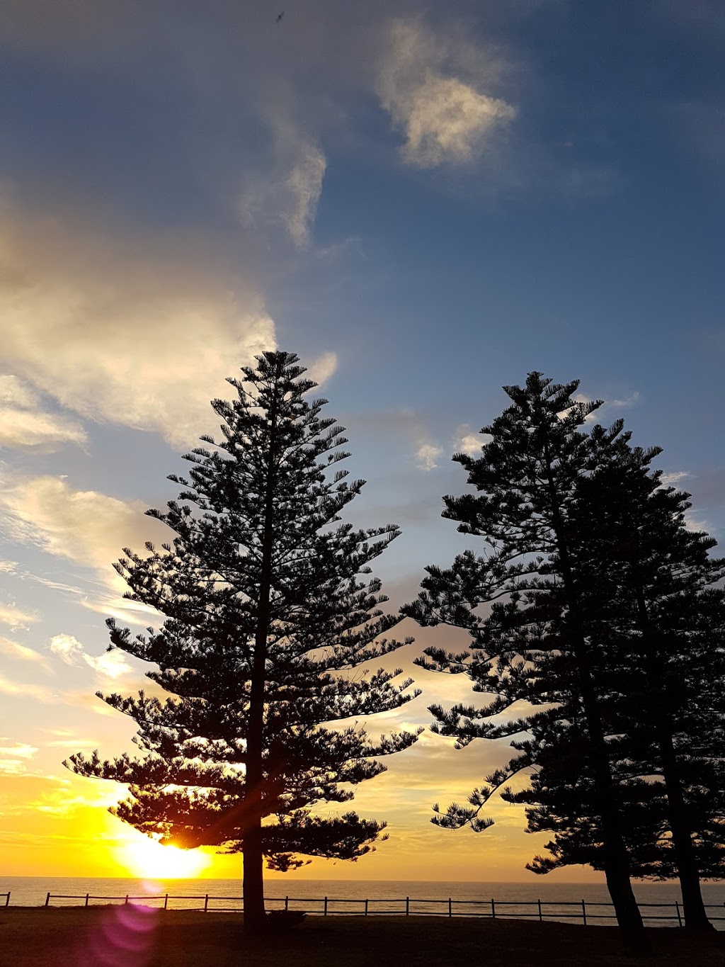 North Palm Beach Surf Lifesaving Club | 1193 Barrenjoey Road located inside Governor Phillip Park, Palm Beach NSW 2108, Australia | Phone: (02) 9974 1224