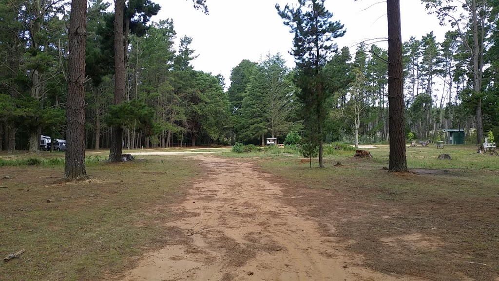 HQ Camp Wingello State Forest | campground | Forest Rd, Wingello NSW 2579, Australia