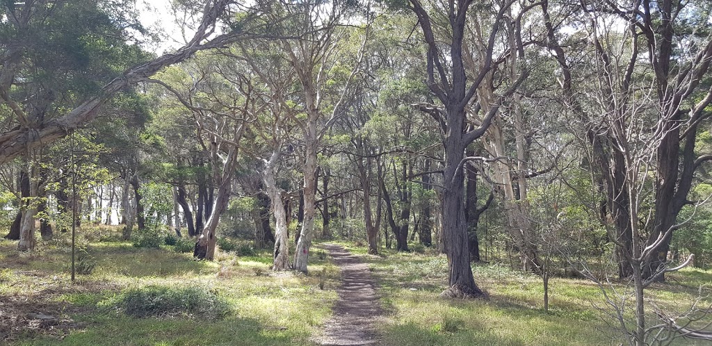Wiseman Park Reserve | park | Gwynneville NSW 2500, Australia