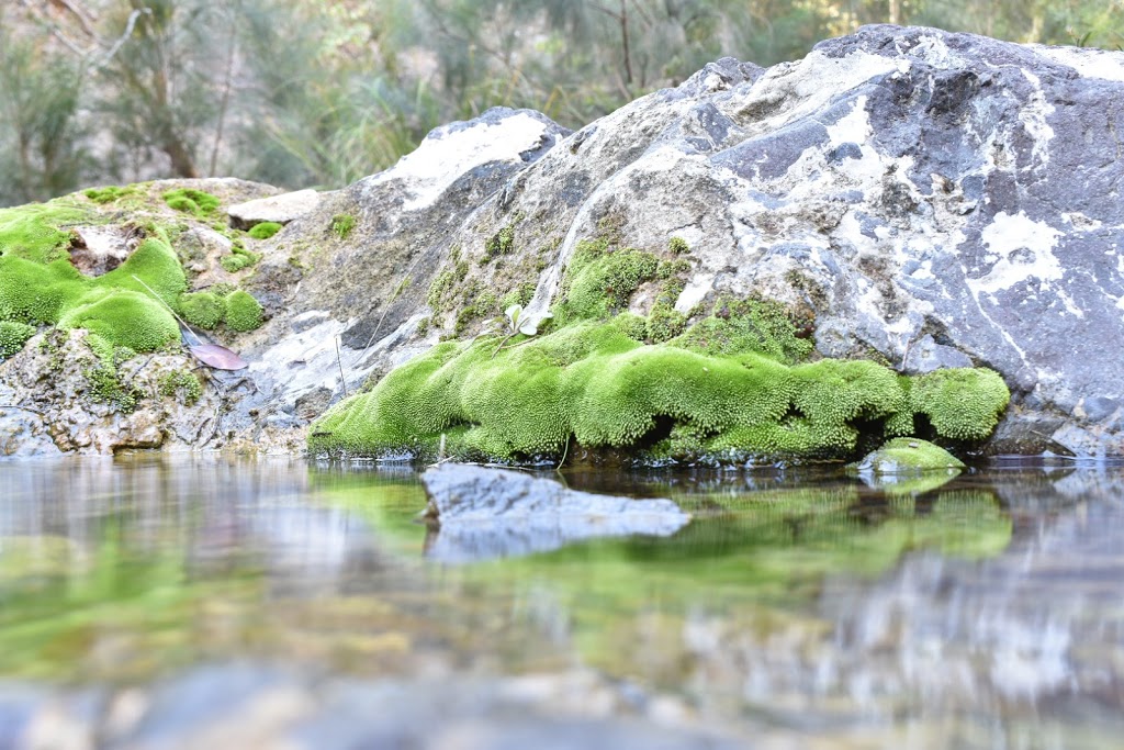 Kinbombi Falls | Kinbombi Rd, Kinbombi QLD 4601, Australia