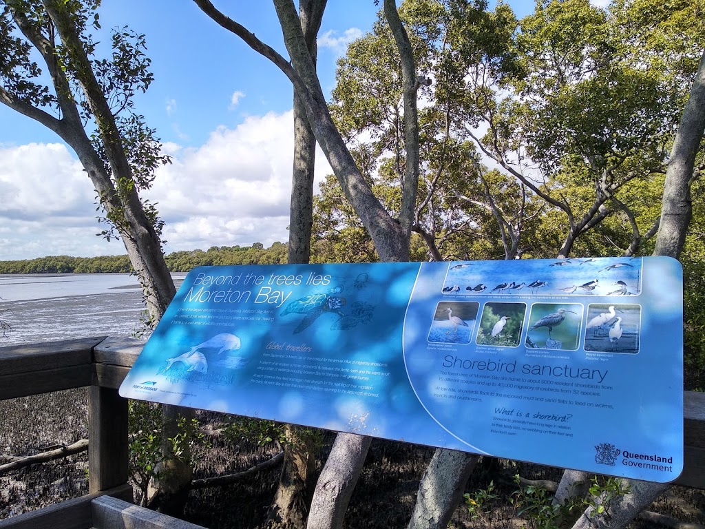 Wynnum Mangrove Boardwalk | tourist attraction | 74A Wynnum North Esplanade, Wynnum QLD 4178, Australia | 0734038888 OR +61 7 3403 8888