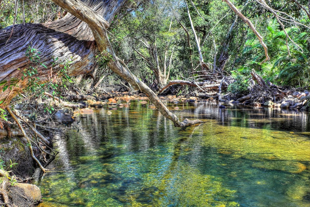 Palmerston Rocks National Park | park | Nerada QLD 4860, Australia