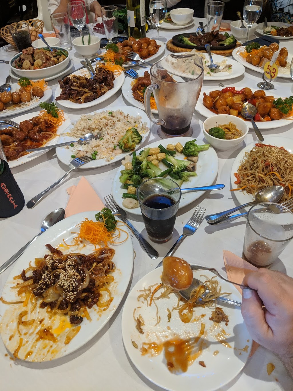 Jade Stream Chinese Restaurant | restaurant | 62 Old Geelong Rd, Hoppers Crossing VIC 3029, Australia | 0397489666 OR +61 3 9748 9666