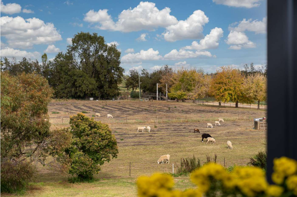 Grange & Co | 31 Gaskill St, Canowindra NSW 2804, Australia | Phone: 0428 470 657