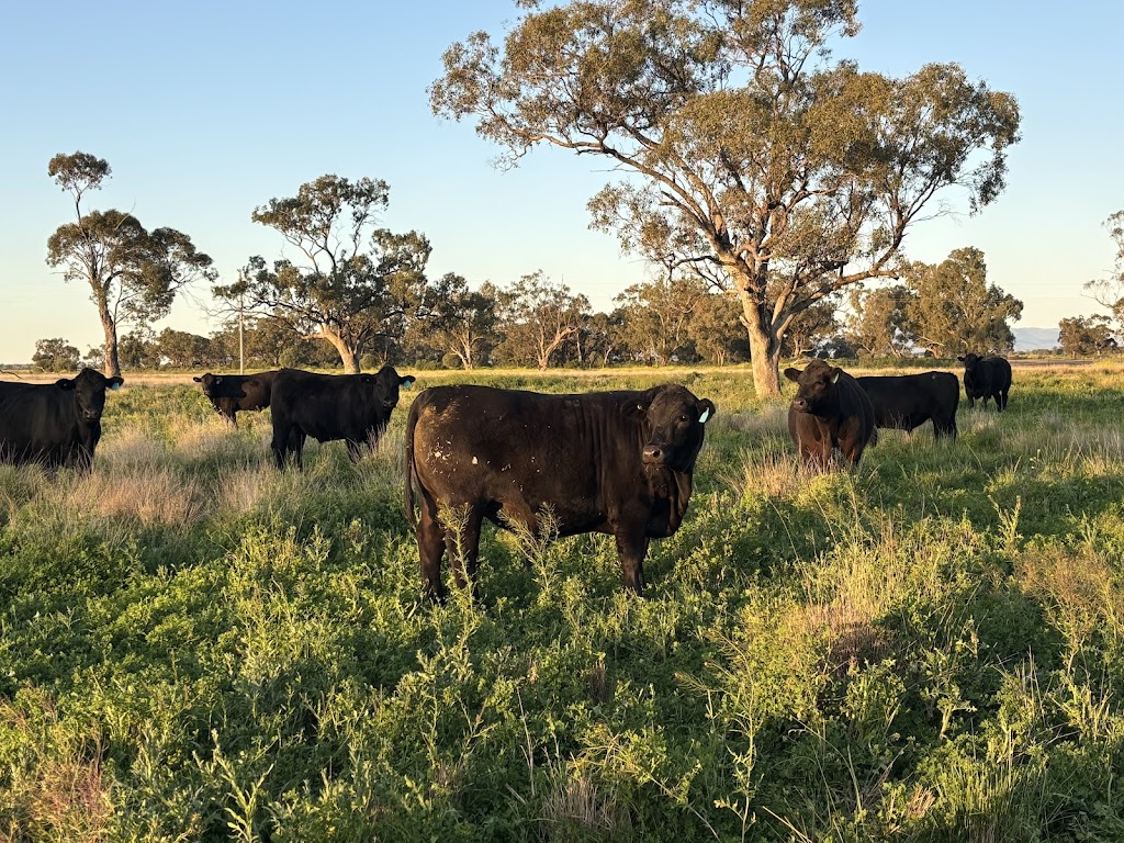 Riverina Sustainable Fertilisers | 1578 Cadell Rd, Gala Vale NSW 2716, Australia | Phone: 0428 133 027