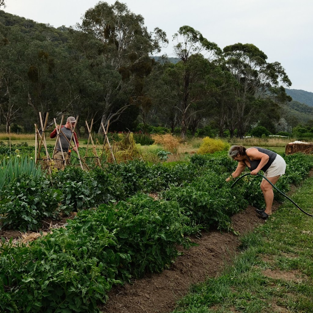 Small Patch Smoko | 1753 Great Alpine Rd, Smoko VIC 3741, Australia | Phone: 0435 079 890
