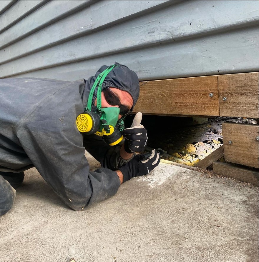 In-Depth Building Inspections | 81A Fortescue Ave, Seaford VIC 3198, Australia | Phone: 0431 223 207