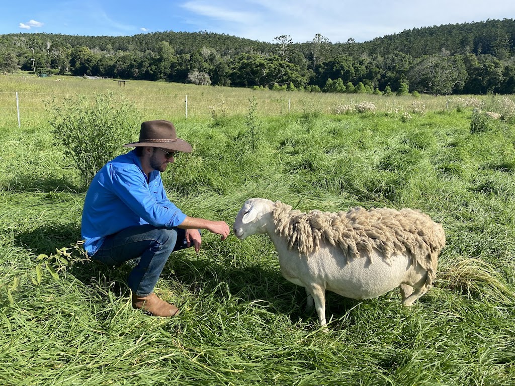 Firebreak Farm | food | 557 Upper Yarraman Maidenwell Rd, Upper Yarraman QLD 4614, Australia | 0404352090 OR +61 404 352 090