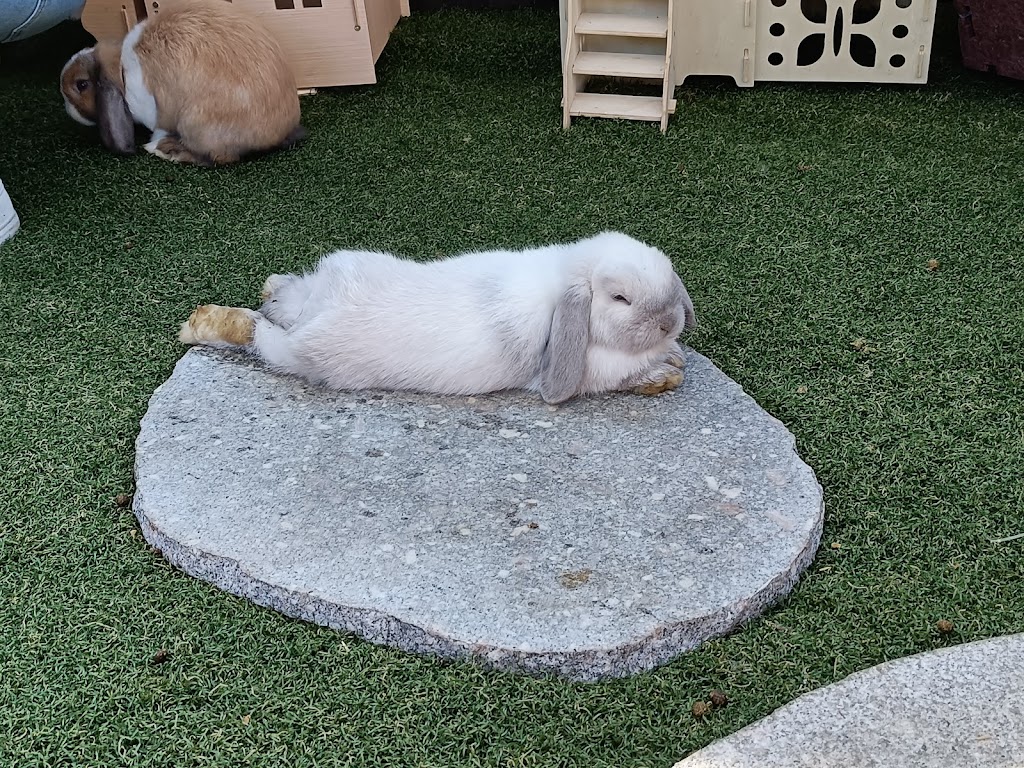 Little Sherwood Drouin Petting Zoo & Cottages | 315 Fisher Rd, Drouin West VIC 3818, Australia | Phone: 0411 498 990