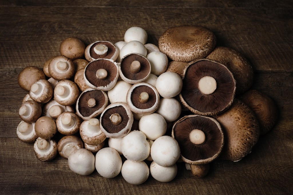 Pure Mushrooms |  | 329 Bains Rd, Woodcroft SA 5162, Australia | 0883250799 OR +61 8 8325 0799