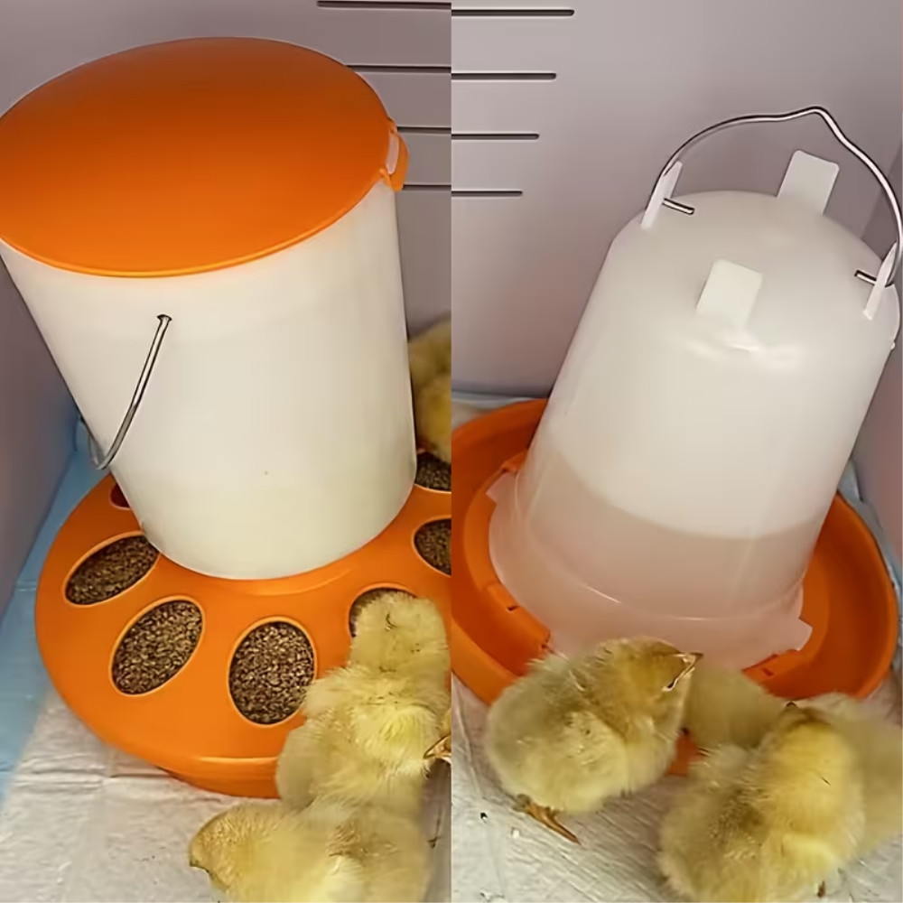 The Chook Shop | 12 Murray St, Casterton VIC 3311, Australia | Phone: 0401 203 447