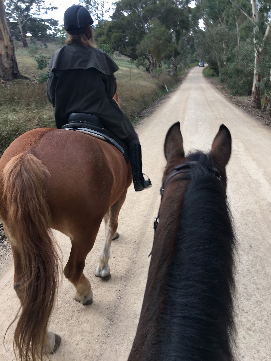 Empowerment 4 Riders (Warida Wholistic Wellness) |  | 362A Lower Hermitage Rd, Lower Hermitage SA 5131, Australia | 0438253202 OR +61 438 253 202