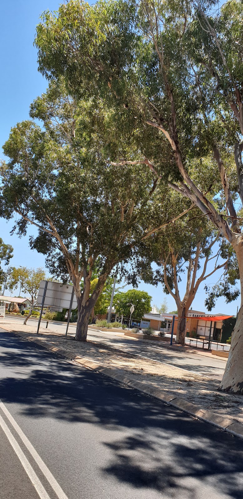 Wongan Hills Community Resource Centre | The Station, 1 Wongan Rd, Wongan Hills WA 6603, Australia | Phone: (08) 9671 1691