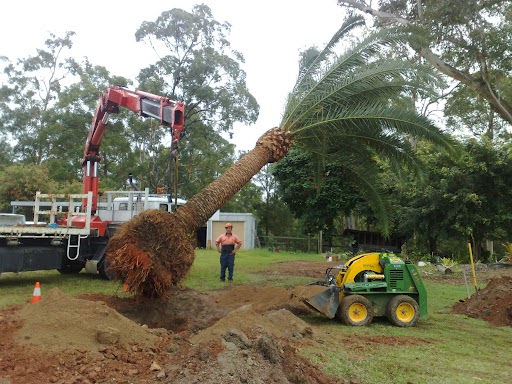 AllRound Tree Services | Whitepatch Esplanard, Bribie Island QLD 4507, Australia | Phone: 0476 377 995