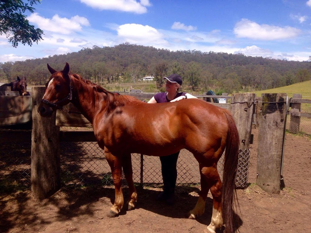 Chapman Valley Horse Riding | campground | 7054 Putty Rd, Howes Valley NSW 2330, Australia | 0265794593 OR +61 2 6579 4593