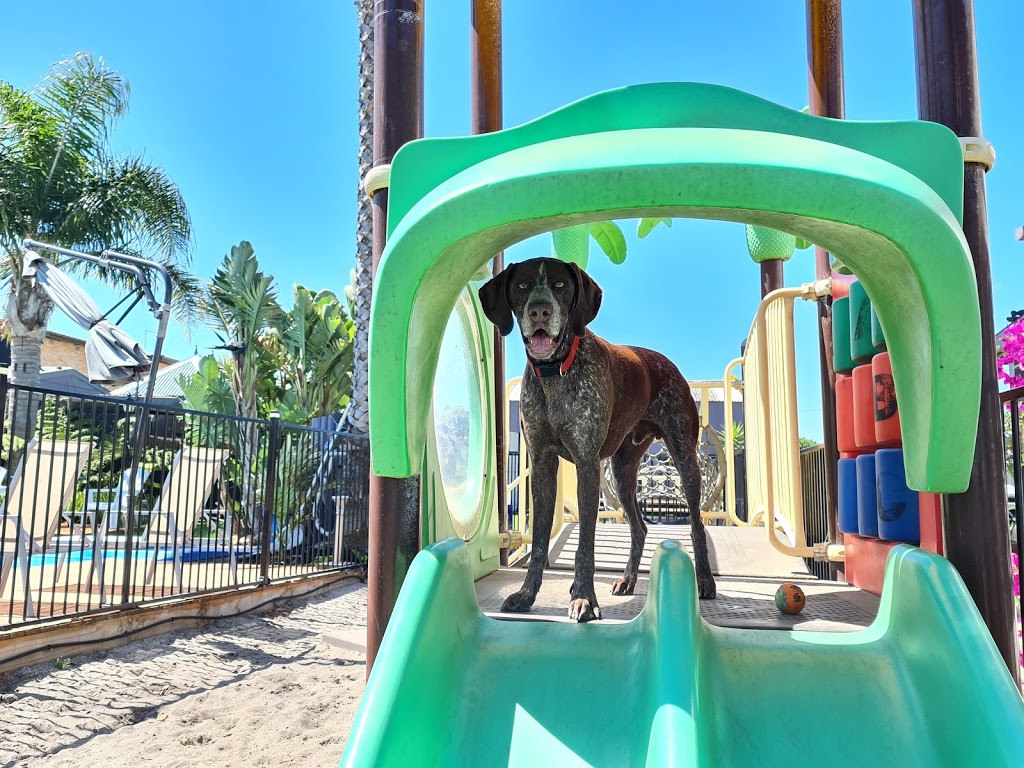 Prime Pet Friendly Tourist Park - (Book Direct) | 60 Myer St, Lakes Entrance VIC 3909, Australia | Phone: (03) 5155 1735