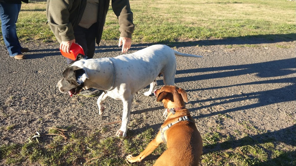 Lithgow Dog Park and Recreation Area | park | Montague St, Lithgow NSW 2790, Australia | 0263549999 OR +61 2 6354 9999