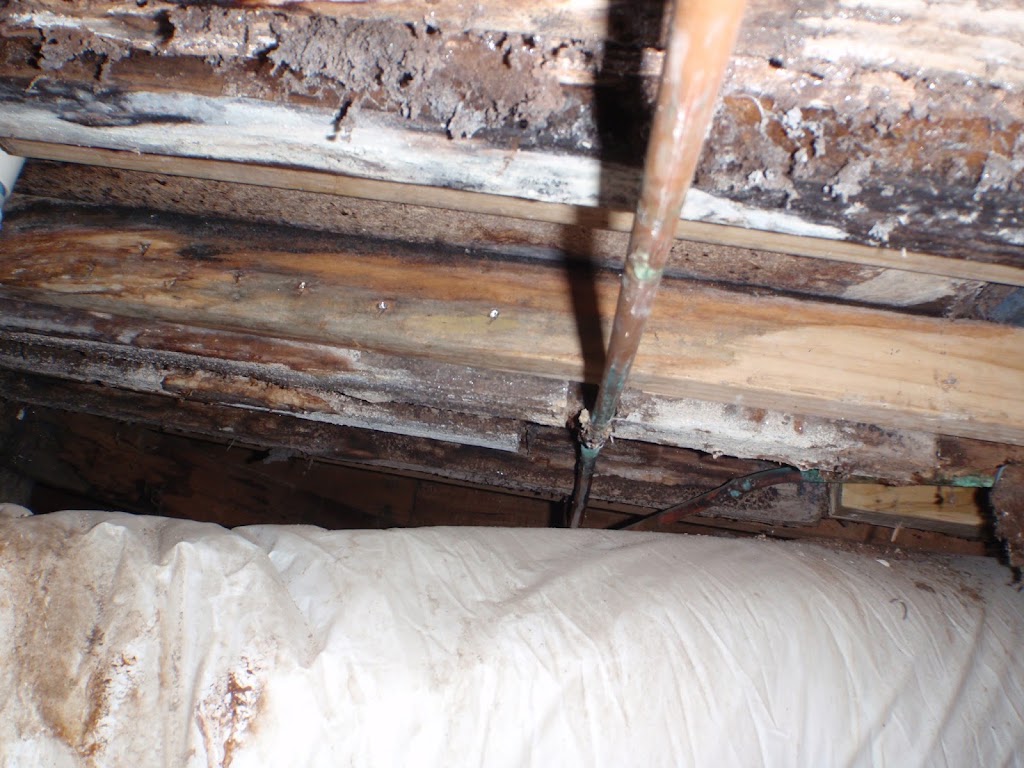 In-Depth Building Inspections | 81A Fortescue Ave, Seaford VIC 3198, Australia | Phone: 0431 223 207