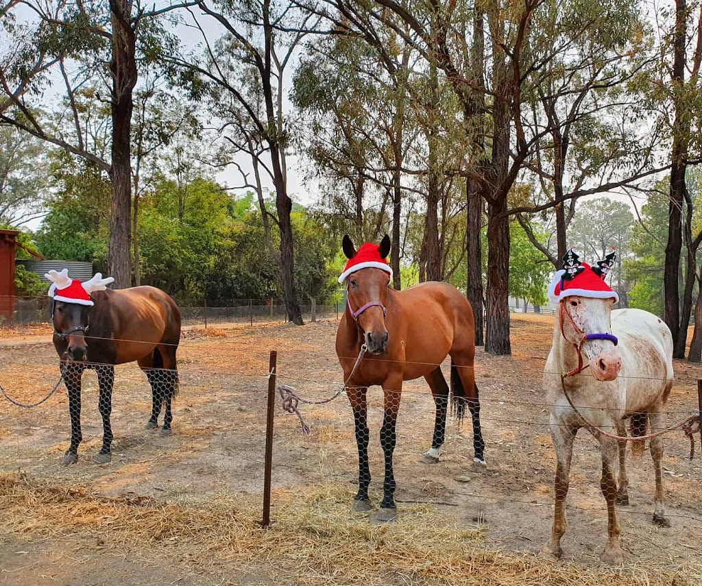 Sydney Equine Assisted Learning | health | 43 Kentoleen Rd, Blaxlands Ridge NSW 2758, Australia | 0405117968 OR +61 405 117 968