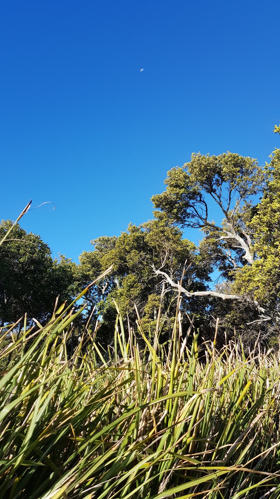 Shelley Beach | park | Royal National Park NSW 2233, Australia | 0295420648 OR +61 2 9542 0648