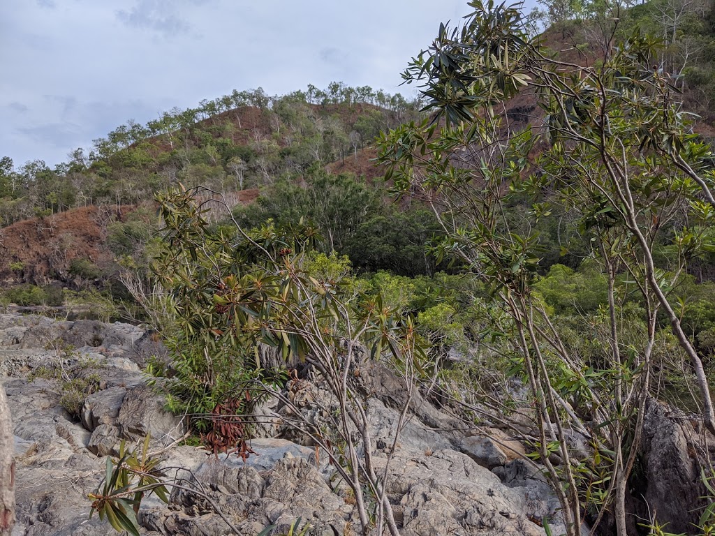 Wujal Wujal Falls | Bloomfield QLD 4895, Australia