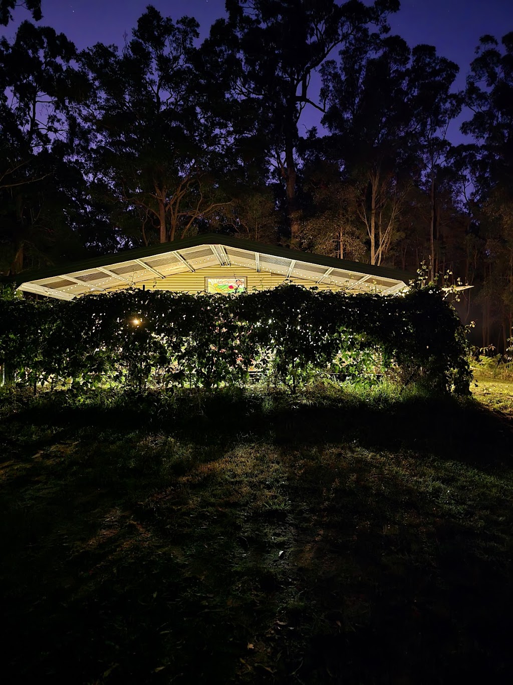 Nourishing Reselda | 79 Elmo St, Ourimbah NSW 2258, Australia | Phone: 0457 543 020