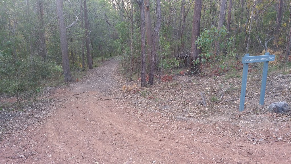Geebung Track To Azanian St - Mt Gravatt Conservation Reserve | park | Azanian Way, Mount Gravatt QLD 4122, Australia