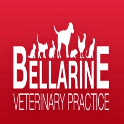 Bellarine Veterinary Practice | 108 High St, Drysdale VIC 3222, Australia | Phone: (03) 5253 1393