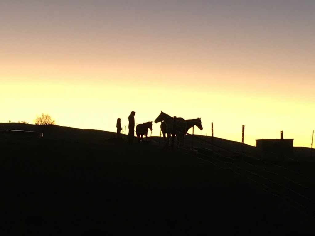 Black Range Equestrian | Black Range Rd, Yass NSW 2582, Australia | Phone: 0420 804 255