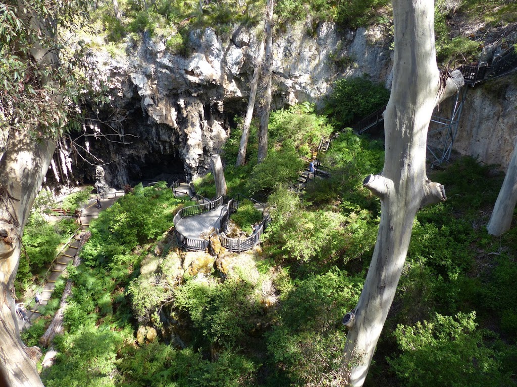 Lake Cave Mammoth Cave Nature Reserve | 40 Conto Rd, Boranup WA 6286, Australia