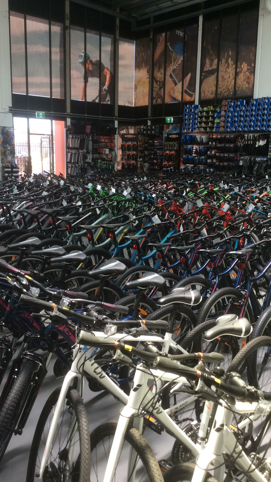 Johns discount cycling warehouse