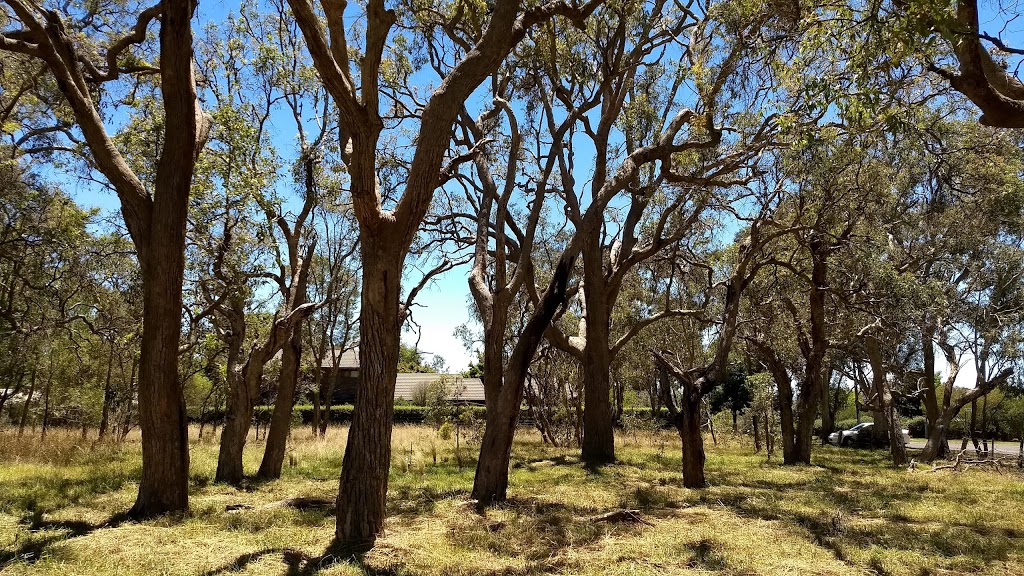 Angophora Bushland Reserve | park | Corner of Bona Vista Road and, Burgess St, Armidale NSW 2350, Australia